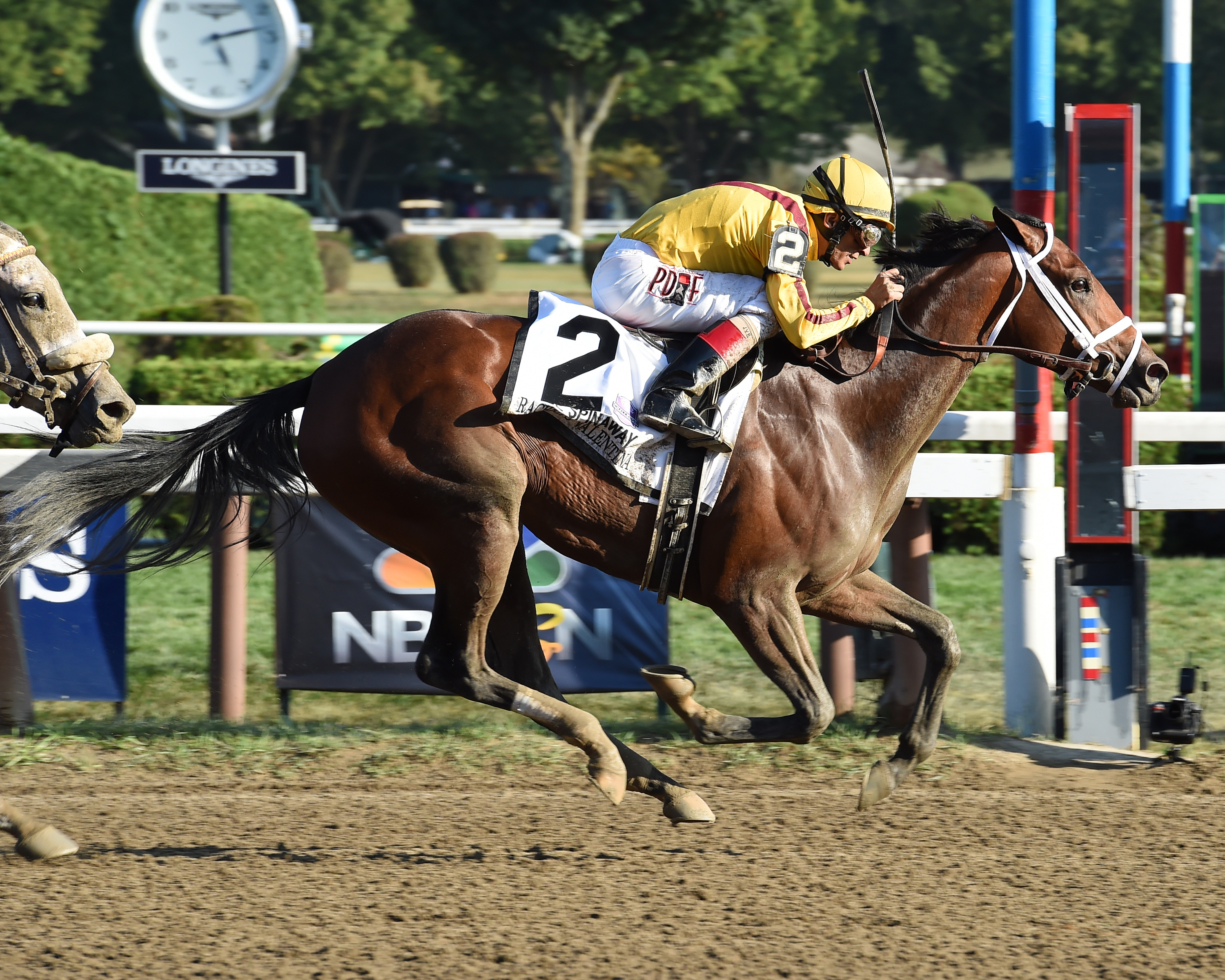 Picture of Rachel's Valentina