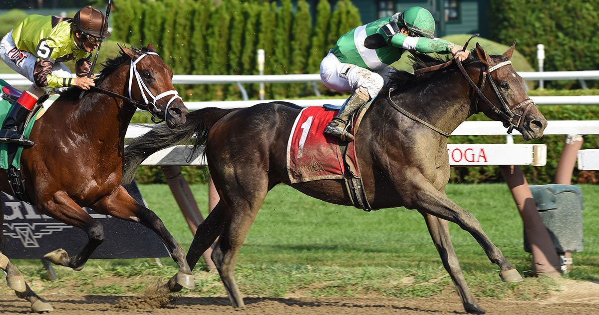 Exaggerator 2023 Kentucky Derby & Oaks May 5 and May 6, 2023