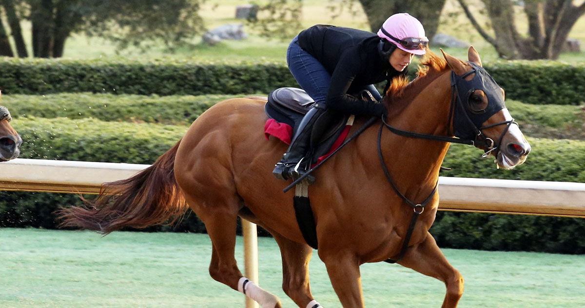 Whitmore 2024 Kentucky Derby & Oaks May 3 and May 4, 2024